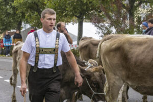 Appenzell, Appenzell Ausserrohden, Appenzeller Vorderland, Brauchtum, Landwirtschaft, Ostschweiz, Schweiz, Suisse, Switzerland, Viehschau, Wirtschaft, Wolfhalden