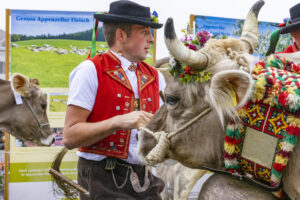 Appenzell, Appenzell Ausserrohden, Appenzeller Vorderland, Brauchtum, Landwirtschaft, Ostschweiz, Schweiz, Suisse, Switzerland, Viehschau, Wirtschaft, Wolfhalden