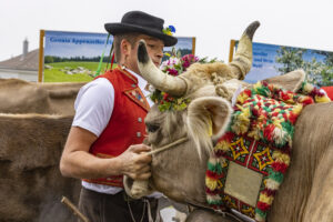 Appenzell, Appenzell Ausserrohden, Appenzeller Vorderland, Brauchtum, Landwirtschaft, Ostschweiz, Schweiz, Suisse, Switzerland, Viehschau, Wirtschaft, Wolfhalden