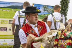 Appenzell, Appenzell Ausserrohden, Appenzeller Vorderland, Brauchtum, Landwirtschaft, Ostschweiz, Schweiz, Suisse, Switzerland, Viehschau, Wirtschaft, Wolfhalden