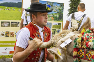 Appenzell, Appenzell Ausserrohden, Appenzeller Vorderland, Brauchtum, Landwirtschaft, Ostschweiz, Schweiz, Suisse, Switzerland, Viehschau, Wirtschaft, Wolfhalden