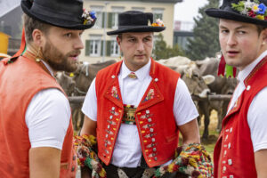 Appenzell, Appenzell Ausserrohden, Appenzeller Vorderland, Brauchtum, Landwirtschaft, Ostschweiz, Schweiz, Suisse, Switzerland, Viehschau, Wirtschaft, Wolfhalden