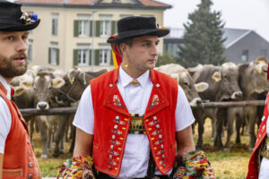 Appenzell, Appenzell Ausserrohden, Appenzeller Vorderland, Brauchtum, Landwirtschaft, Ostschweiz, Schweiz, Suisse, Switzerland, Viehschau, Wirtschaft, Wolfhalden
