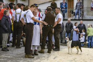 Appenzell, Appenzell Ausserrohden, Appenzeller Vorderland, Brauchtum, Landwirtschaft, Ostschweiz, Schweiz, Suisse, Switzerland, Viehschau, Wirtschaft, Wolfhalden