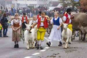 Appenzell, Appenzell Ausserrohden, Appenzeller Vorderland, Brauchtum, Landwirtschaft, Ostschweiz, Schweiz, Suisse, Switzerland, Viehschau, Wirtschaft, Wolfhalden