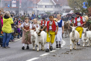 Appenzell, Appenzell Ausserrohden, Appenzeller Vorderland, Brauchtum, Landwirtschaft, Ostschweiz, Schweiz, Suisse, Switzerland, Viehschau, Wirtschaft, Wolfhalden