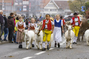 Appenzell, Appenzell Ausserrohden, Appenzeller Vorderland, Brauchtum, Landwirtschaft, Ostschweiz, Schweiz, Suisse, Switzerland, Viehschau, Wirtschaft, Wolfhalden