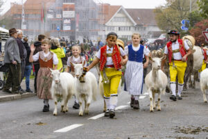 Appenzell, Appenzell Ausserrohden, Appenzeller Vorderland, Brauchtum, Landwirtschaft, Ostschweiz, Schweiz, Suisse, Switzerland, Viehschau, Wirtschaft, Wolfhalden