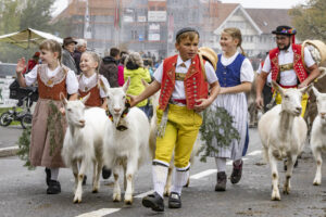 Appenzell, Appenzell Ausserrohden, Appenzeller Vorderland, Brauchtum, Landwirtschaft, Ostschweiz, Schweiz, Suisse, Switzerland, Viehschau, Wirtschaft, Wolfhalden
