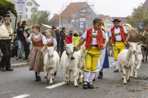 Appenzell, Appenzell Ausserrohden, Appenzeller Vorderland, Brauchtum, Landwirtschaft, Ostschweiz, Schweiz, Suisse, Switzerland, Viehschau, Wirtschaft, Wolfhalden