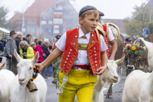 Appenzell, Appenzell Ausserrohden, Appenzeller Vorderland, Brauchtum, Landwirtschaft, Ostschweiz, Schweiz, Suisse, Switzerland, Viehschau, Wirtschaft, Wolfhalden