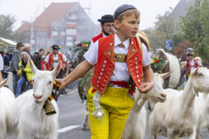 Appenzell, Appenzell Ausserrohden, Appenzeller Vorderland, Brauchtum, Landwirtschaft, Ostschweiz, Schweiz, Suisse, Switzerland, Viehschau, Wirtschaft, Wolfhalden