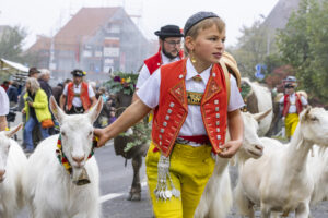 Appenzell, Appenzell Ausserrohden, Appenzeller Vorderland, Brauchtum, Landwirtschaft, Ostschweiz, Schweiz, Suisse, Switzerland, Viehschau, Wirtschaft, Wolfhalden