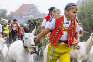 Appenzell, Appenzell Ausserrohden, Appenzeller Vorderland, Brauchtum, Landwirtschaft, Ostschweiz, Schweiz, Suisse, Switzerland, Viehschau, Wirtschaft, Wolfhalden
