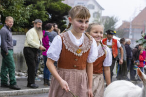 Appenzell, Appenzell Ausserrohden, Appenzeller Vorderland, Brauchtum, Landwirtschaft, Ostschweiz, Schweiz, Suisse, Switzerland, Viehschau, Wirtschaft, Wolfhalden