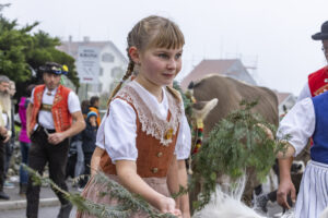 Appenzell, Appenzell Ausserrohden, Appenzeller Vorderland, Brauchtum, Landwirtschaft, Ostschweiz, Schweiz, Suisse, Switzerland, Viehschau, Wirtschaft, Wolfhalden