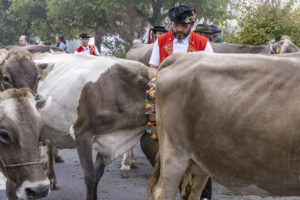 Appenzell, Appenzell Ausserrohden, Appenzeller Vorderland, Brauchtum, Landwirtschaft, Ostschweiz, Schweiz, Suisse, Switzerland, Viehschau, Wirtschaft, Wolfhalden