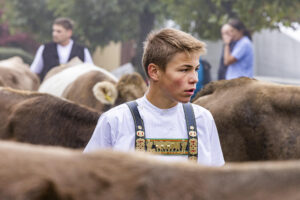 Appenzell, Appenzell Ausserrohden, Appenzeller Vorderland, Brauchtum, Landwirtschaft, Ostschweiz, Schweiz, Suisse, Switzerland, Viehschau, Wirtschaft, Wolfhalden
