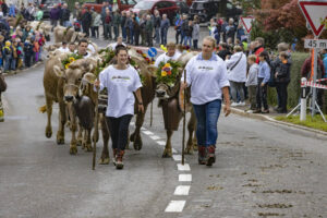 Appenzell, Appenzell Ausserrohden, Appenzeller Vorderland, Brauchtum, Landwirtschaft, Ostschweiz, Schweiz, Suisse, Switzerland, Viehschau, Wirtschaft, Wolfhalden