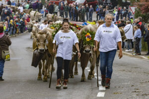 Appenzell, Appenzell Ausserrohden, Appenzeller Vorderland, Brauchtum, Landwirtschaft, Ostschweiz, Schweiz, Suisse, Switzerland, Viehschau, Wirtschaft, Wolfhalden