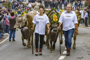Appenzell, Appenzell Ausserrohden, Appenzeller Vorderland, Brauchtum, Landwirtschaft, Ostschweiz, Schweiz, Suisse, Switzerland, Viehschau, Wirtschaft, Wolfhalden