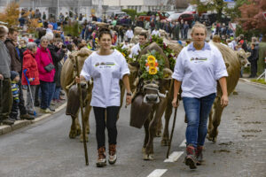 Appenzell, Appenzell Ausserrohden, Appenzeller Vorderland, Brauchtum, Landwirtschaft, Ostschweiz, Schweiz, Suisse, Switzerland, Viehschau, Wirtschaft, Wolfhalden