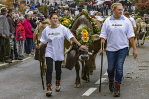 Appenzell, Appenzell Ausserrohden, Appenzeller Vorderland, Brauchtum, Landwirtschaft, Ostschweiz, Schweiz, Suisse, Switzerland, Viehschau, Wirtschaft, Wolfhalden
