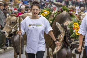 Appenzell, Appenzell Ausserrohden, Appenzeller Vorderland, Brauchtum, Landwirtschaft, Ostschweiz, Schweiz, Suisse, Switzerland, Viehschau, Wirtschaft, Wolfhalden
