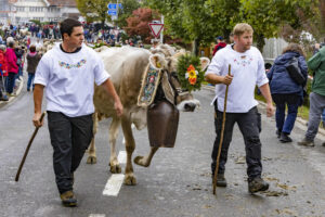 Appenzell, Appenzell Ausserrohden, Appenzeller Vorderland, Brauchtum, Landwirtschaft, Ostschweiz, Schweiz, Suisse, Switzerland, Viehschau, Wirtschaft, Wolfhalden
