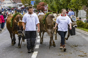 Appenzell, Appenzell Ausserrohden, Appenzeller Vorderland, Brauchtum, Landwirtschaft, Ostschweiz, Schweiz, Suisse, Switzerland, Viehschau, Wirtschaft, Wolfhalden