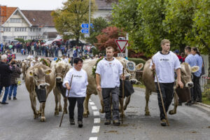 Appenzell, Appenzell Ausserrohden, Appenzeller Vorderland, Brauchtum, Landwirtschaft, Ostschweiz, Schweiz, Suisse, Switzerland, Viehschau, Wirtschaft, Wolfhalden