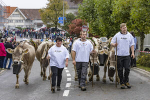 Appenzell, Appenzell Ausserrohden, Appenzeller Vorderland, Brauchtum, Landwirtschaft, Ostschweiz, Schweiz, Suisse, Switzerland, Viehschau, Wirtschaft, Wolfhalden