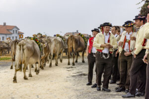 Appenzell, Appenzell Ausserrohden, Appenzeller Vorderland, Brauchtum, Landwirtschaft, Ostschweiz, Schweiz, Suisse, Switzerland, Viehschau, Wirtschaft, Wolfhalden