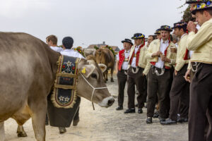 Appenzell, Appenzell Ausserrohden, Appenzeller Vorderland, Brauchtum, Landwirtschaft, Ostschweiz, Schweiz, Suisse, Switzerland, Viehschau, Wirtschaft, Wolfhalden