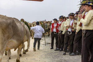 Appenzell, Appenzell Ausserrohden, Appenzeller Vorderland, Brauchtum, Landwirtschaft, Ostschweiz, Schweiz, Suisse, Switzerland, Viehschau, Wirtschaft, Wolfhalden