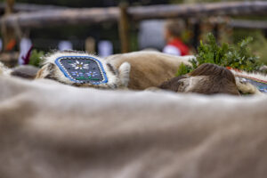 Appenzell, Appenzell Ausserrohden, Appenzeller Vorderland, Brauchtum, Landwirtschaft, Ostschweiz, Schweiz, Suisse, Switzerland, Viehschau, Wirtschaft, Wolfhalden