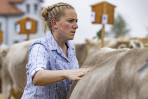 Appenzell, Appenzell Ausserrohden, Appenzeller Vorderland, Brauchtum, Landwirtschaft, Ostschweiz, Schweiz, Suisse, Switzerland, Viehschau, Wirtschaft, Wolfhalden