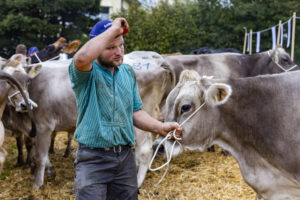 Appenzell, Appenzell Ausserrohden, Appenzeller Vorderland, Brauchtum, Landwirtschaft, Ostschweiz, Schweiz, Suisse, Switzerland, Viehschau, Wirtschaft, Wolfhalden