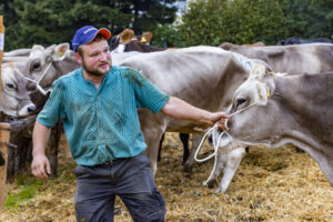 Appenzell, Appenzell Ausserrohden, Appenzeller Vorderland, Brauchtum, Landwirtschaft, Ostschweiz, Schweiz, Suisse, Switzerland, Viehschau, Wirtschaft, Wolfhalden
