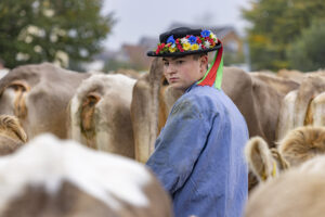 Appenzell, Appenzell Ausserrohden, Appenzeller Vorderland, Brauchtum, Landwirtschaft, Ostschweiz, Schweiz, Suisse, Switzerland, Viehschau, Wirtschaft, Wolfhalden