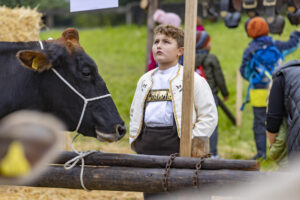 Appenzell, Appenzell Ausserrohden, Appenzeller Vorderland, Brauchtum, Landwirtschaft, Ostschweiz, Schweiz, Suisse, Switzerland, Viehschau, Wirtschaft, Wolfhalden