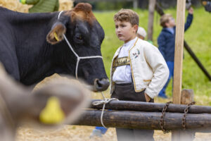 Appenzell, Appenzell Ausserrohden, Appenzeller Vorderland, Brauchtum, Landwirtschaft, Ostschweiz, Schweiz, Suisse, Switzerland, Viehschau, Wirtschaft, Wolfhalden
