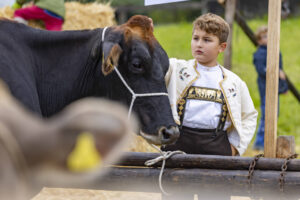 Appenzell, Appenzell Ausserrohden, Appenzeller Vorderland, Brauchtum, Landwirtschaft, Ostschweiz, Schweiz, Suisse, Switzerland, Viehschau, Wirtschaft, Wolfhalden