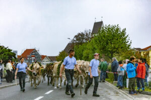 Appenzell, Appenzell Ausserrohden, Appenzeller Vorderland, Brauchtum, Landwirtschaft, Ostschweiz, Schweiz, Suisse, Switzerland, Viehschau, Wirtschaft, Wolfhalden