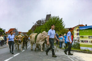Appenzell, Appenzell Ausserrohden, Appenzeller Vorderland, Brauchtum, Landwirtschaft, Ostschweiz, Schweiz, Suisse, Switzerland, Viehschau, Wirtschaft, Wolfhalden