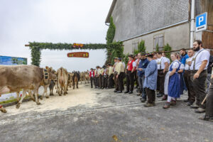 Appenzell, Appenzell Ausserrohden, Appenzeller Vorderland, Brauchtum, Landwirtschaft, Ostschweiz, Schweiz, Suisse, Switzerland, Viehschau, Wirtschaft, Wolfhalden