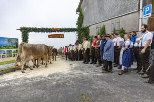 Appenzell, Appenzell Ausserrohden, Appenzeller Vorderland, Brauchtum, Landwirtschaft, Ostschweiz, Schweiz, Suisse, Switzerland, Viehschau, Wirtschaft, Wolfhalden