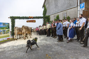 Appenzell, Appenzell Ausserrohden, Appenzeller Vorderland, Brauchtum, Landwirtschaft, Ostschweiz, Schweiz, Suisse, Switzerland, Viehschau, Wirtschaft, Wolfhalden