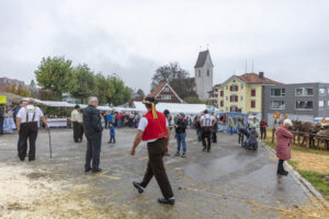 Appenzell, Appenzell Ausserrohden, Appenzeller Vorderland, Brauchtum, Landwirtschaft, Ostschweiz, Schweiz, Suisse, Switzerland, Viehschau, Wirtschaft, Wolfhalden