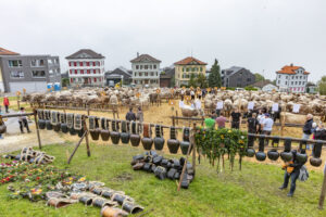 Appenzell, Appenzell Ausserrohden, Appenzeller Vorderland, Brauchtum, Landwirtschaft, Ostschweiz, Schweiz, Suisse, Switzerland, Viehschau, Wirtschaft, Wolfhalden